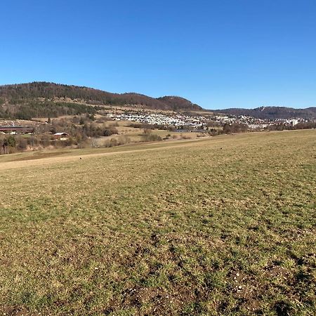 Atemberaubender Ausblick Mit Premium-Wanderwegen Vor Der Haustuer Apartment อัลบ์ชตัดท์ ภายนอก รูปภาพ