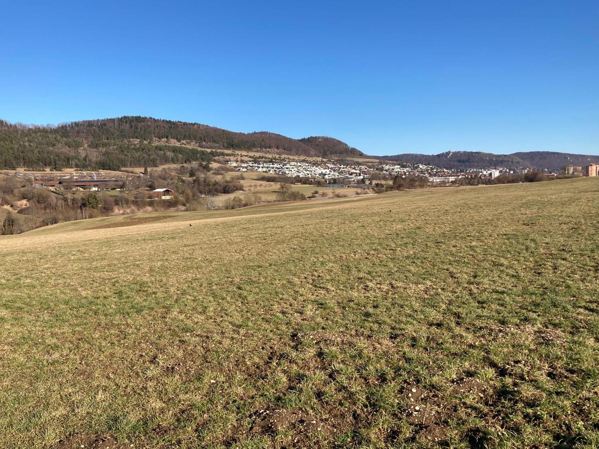 Atemberaubender Ausblick Mit Premium-Wanderwegen Vor Der Haustuer Apartment อัลบ์ชตัดท์ ภายนอก รูปภาพ