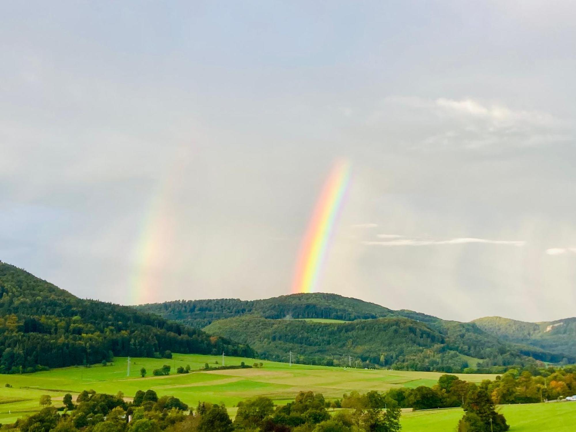 Atemberaubender Ausblick Mit Premium-Wanderwegen Vor Der Haustuer Apartment อัลบ์ชตัดท์ ภายนอก รูปภาพ